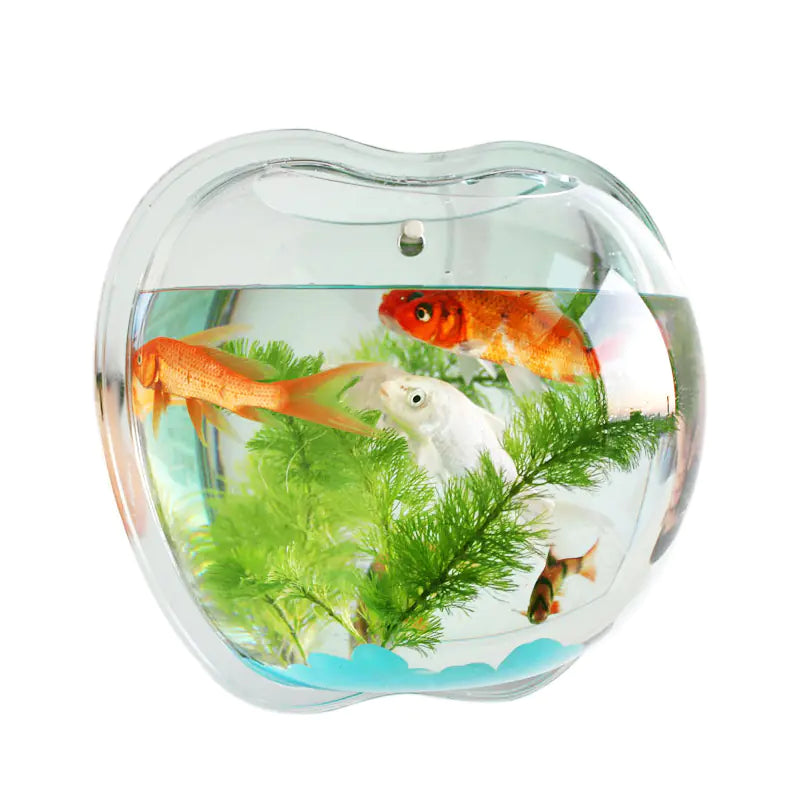 Muurplanter voor huisdecoratie